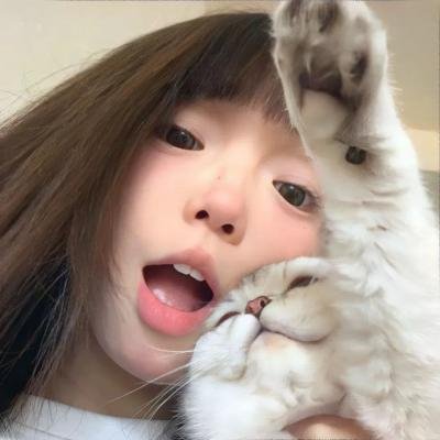 城市